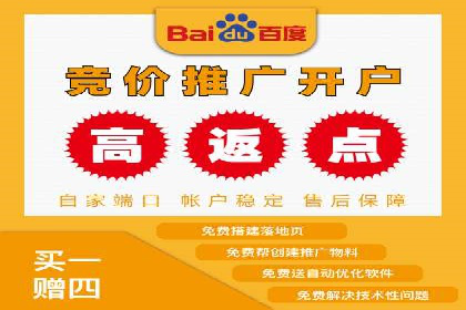 SEM服务优势案例分享
