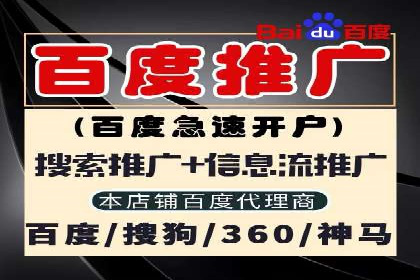 SEM代理案例：从零到一，见证品牌崛起